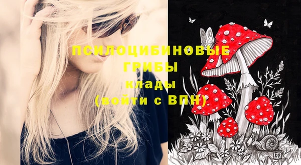 хмурый Михайлов